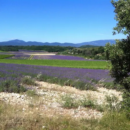 De La Croix Du Gres (adults Only) בית נופש Valaurie
